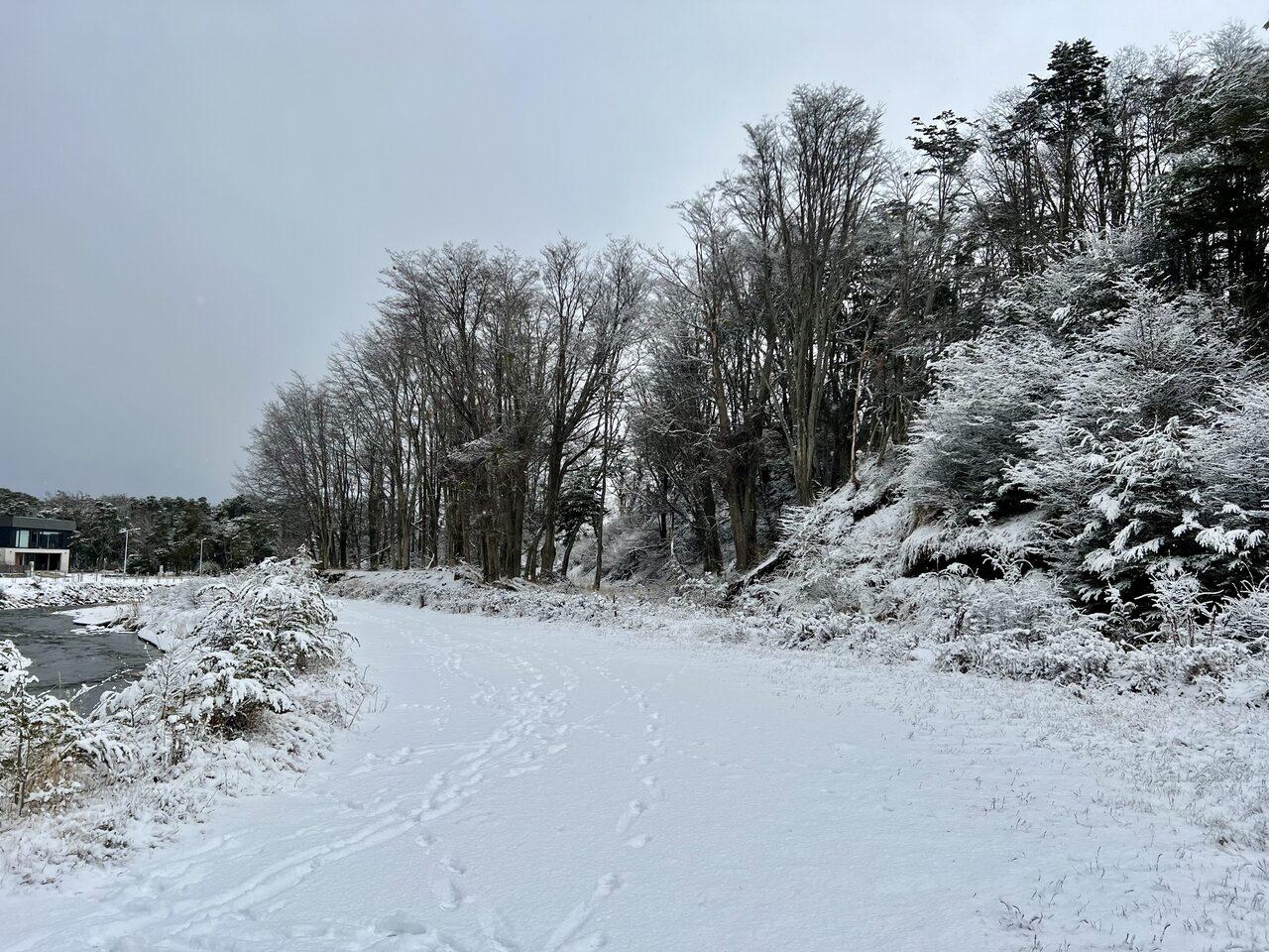 Imagen ilustrativa de un camino con nieve.